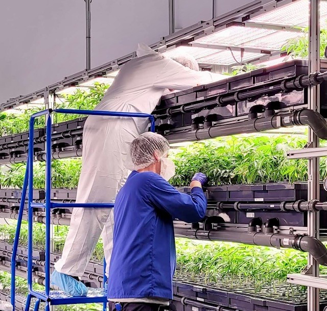 Role of the Production Employee