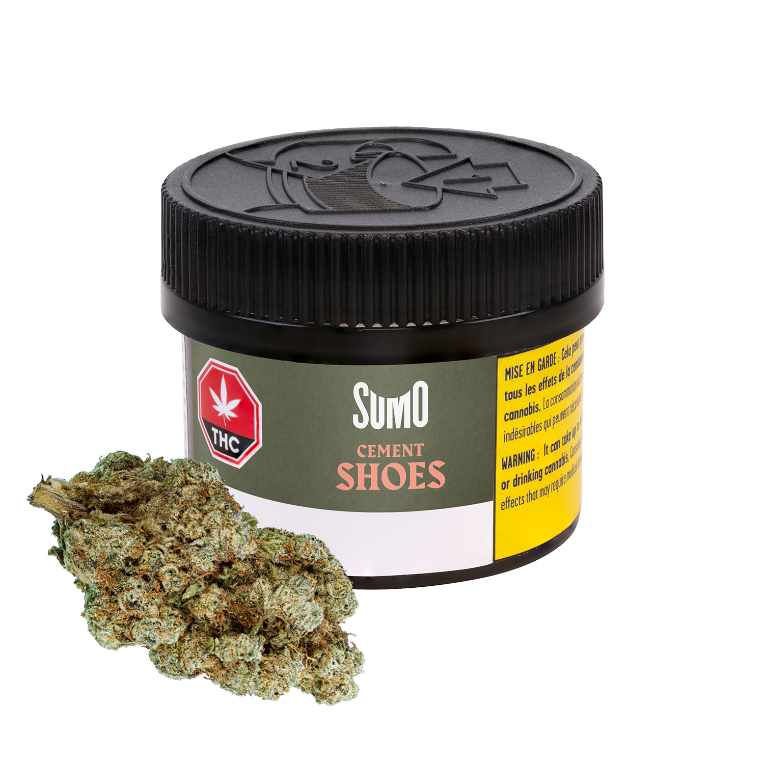 Cement Shoes