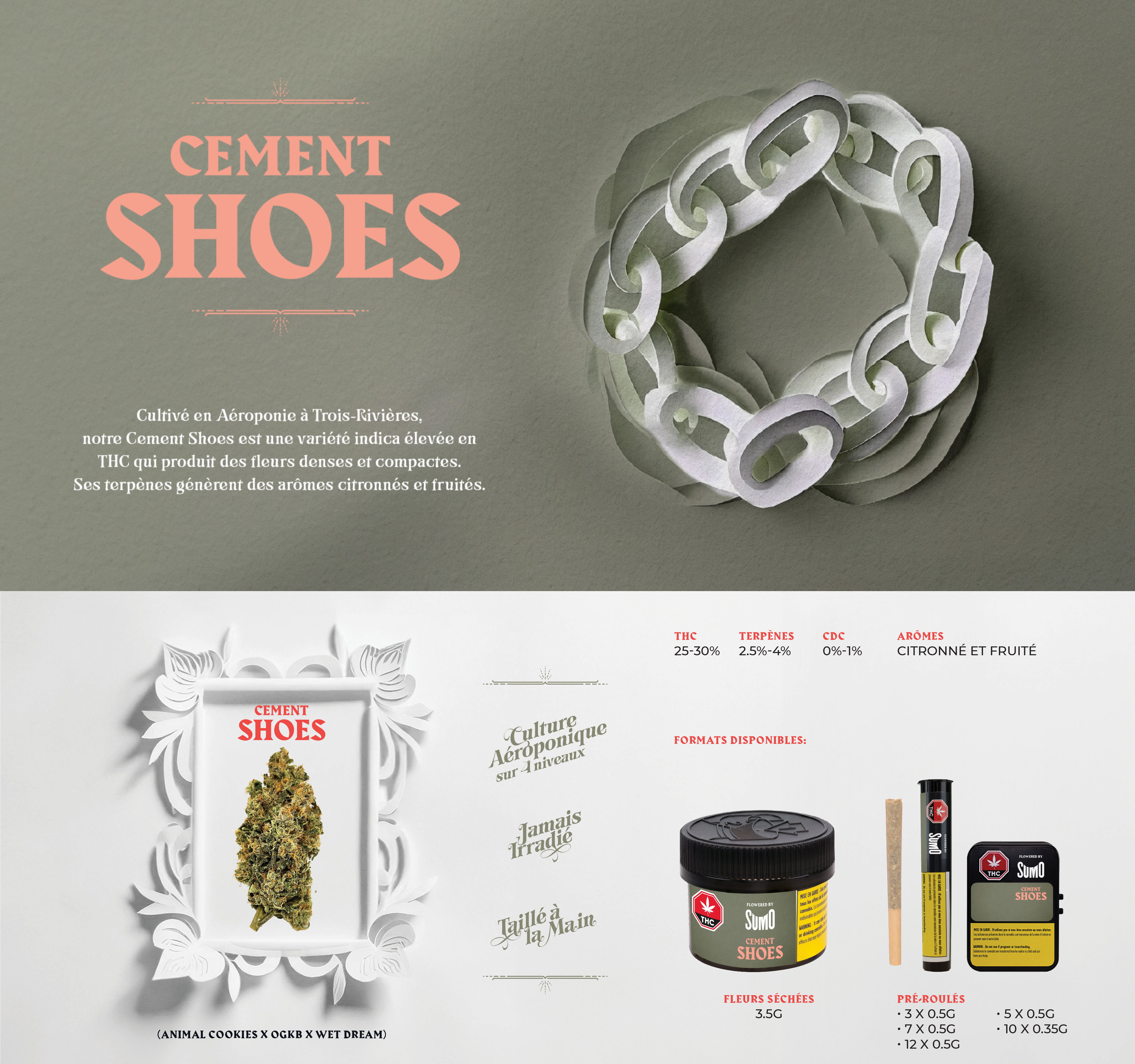 CementShoes-FR