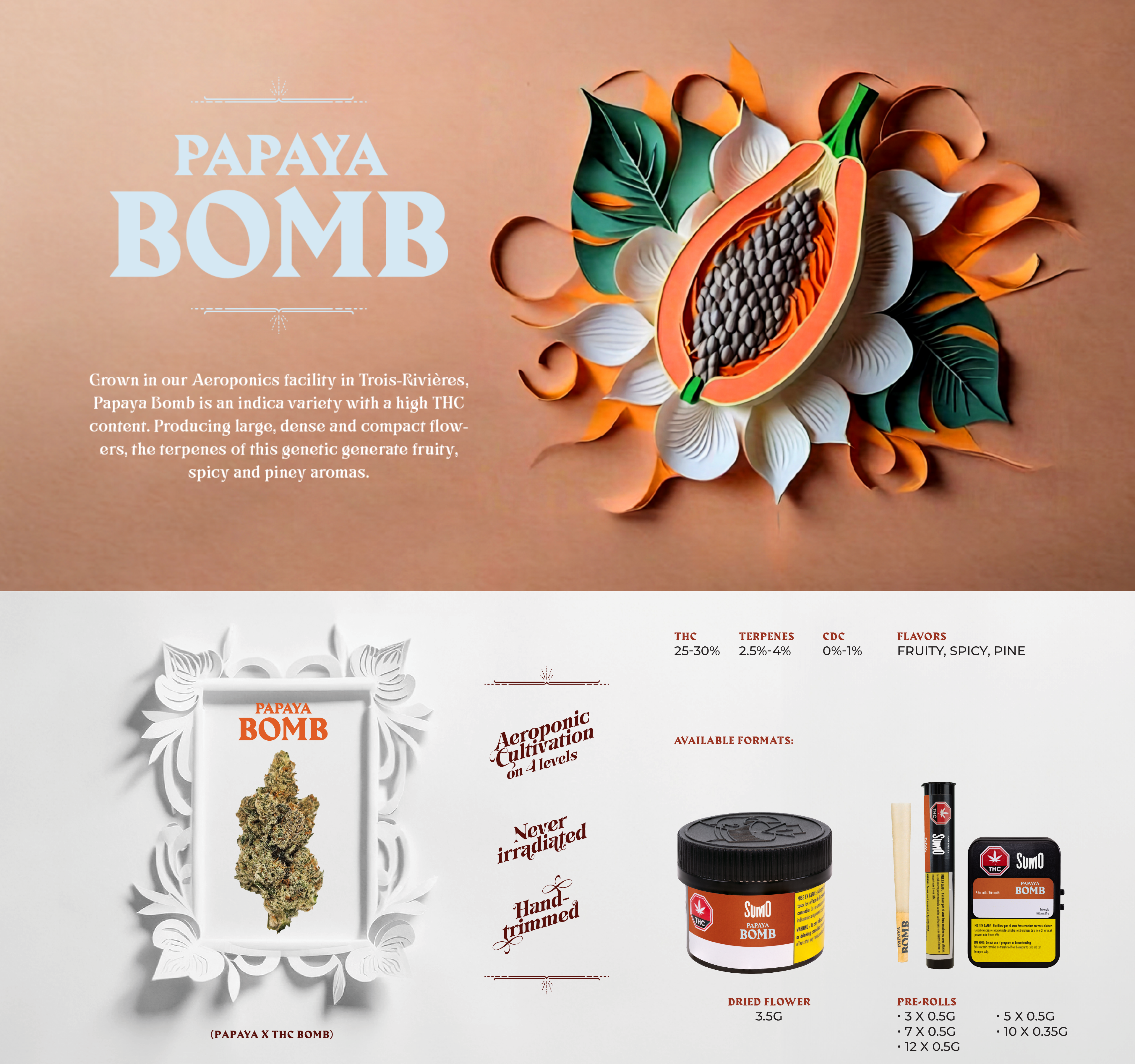 Papaya-Bomb EN